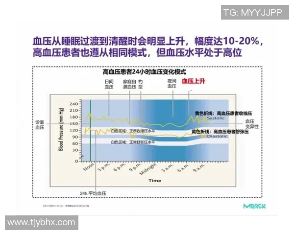北京羽毛球队耐力对比深度解析及训练策略探讨